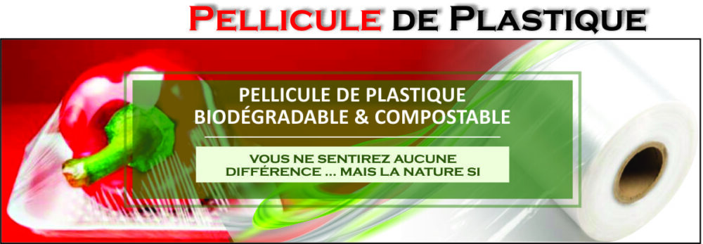 pellicule plastique